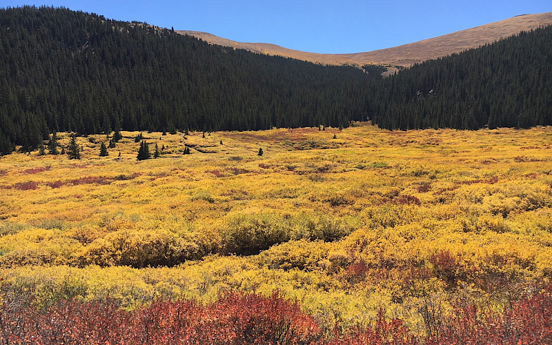 Near Idaho Springs