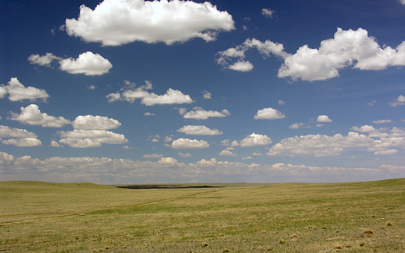 Briggsdale
